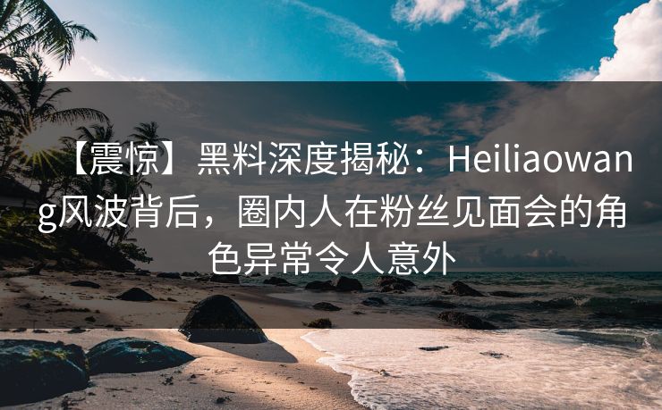 【震惊】黑料深度揭秘：Heiliaowang风波背后，圈内人在粉丝见面会的角色异常令人意外