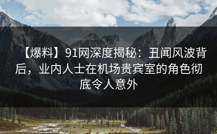 【爆料】91网深度揭秘：丑闻风波背后，业内人士在机场贵宾室的角色彻底令人意外