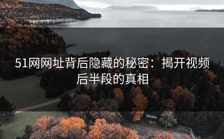 51网网址背后隐藏的秘密：揭开视频后半段的真相